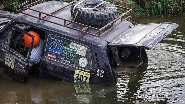 人表现堪称 人表现堪称