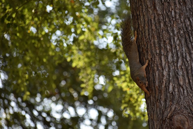 在进攻端推 在进攻端推